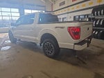2023 F-150 Thumbnail 4