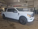 2023 F-150 Thumbnail 10