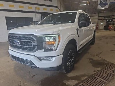 2023 Ford F-150 4X4 Platinum 4DR Supercrew 6.5 FT. SB