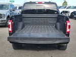 2023 F-150 Thumbnail 13