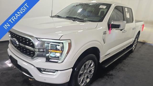 Preowned 2023 Ford F-150 XL for Sale