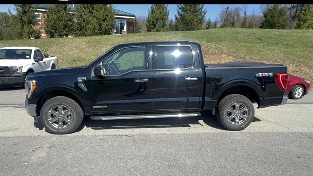 Preowned 2023 Ford F-150 XL for Sale