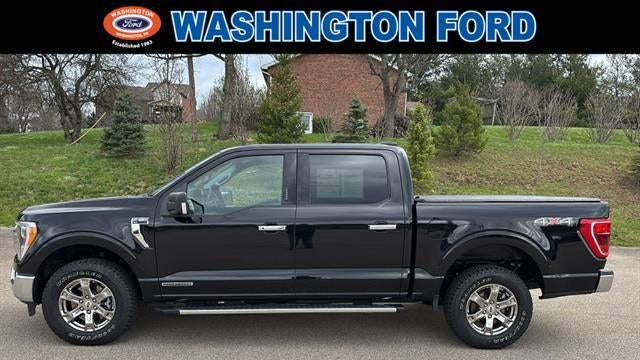 Preowned 2023 Ford F-150 XL for Sale