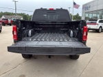 2023 F-150 Thumbnail 12