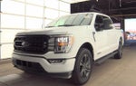 2023 F-150 Thumbnail 3