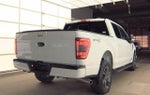 2023 F-150 Thumbnail 4