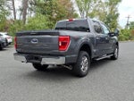 2023 F-150 Thumbnail 3