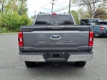 2023 F-150 Thumbnail 4