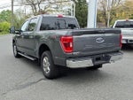 2023 F-150 Thumbnail 5