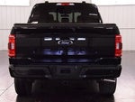 2023 F-150 Thumbnail 6