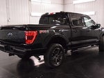 2023 F-150 Thumbnail 9