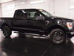 2023 F-150 Thumbnail 10