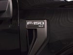 2023 F-150 Thumbnail 13
