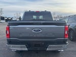 2023 F-150 Thumbnail 4