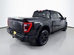 2023 F-150 Thumbnail 7