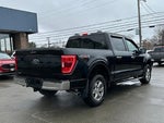 2023 F-150 Thumbnail 3