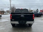 2023 F-150 Thumbnail 4