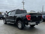 2023 F-150 Thumbnail 5