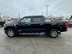 2023 F-150 Thumbnail 6