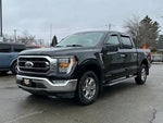 2023 F-150 Thumbnail 7