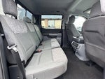 2023 F-150 Thumbnail 15