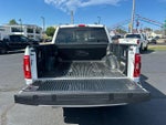 2023 F-150 Thumbnail 6