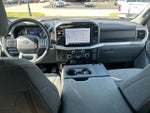 2023 F-150 Thumbnail 13