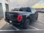 2023 F-150 Thumbnail 5