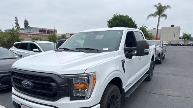 Preowned 2023 Ford F-150 XLT for Sale