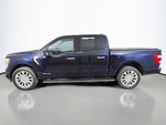 2021 F-150 Thumbnail 12