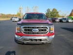 2021 F-150 Thumbnail 2