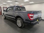 2021 F-150 Thumbnail 6