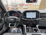 2021 F-150 Thumbnail 14
