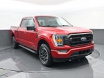 2021 F-150 Thumbnail 3