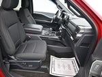 2021 F-150 Thumbnail 7