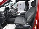 2021 F-150 Thumbnail 11