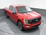 2021 F-150 Thumbnail 19