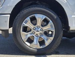 2021 F-150 Thumbnail 10