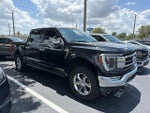 2021 F-150 Thumbnail 2