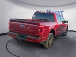 2021 F-150 Thumbnail 4