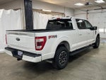 2021 F-150 Thumbnail 6