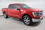 2021 F-150 Thumbnail 3