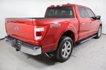 2021 F-150 Thumbnail 5