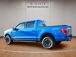 2021 F-150 Thumbnail 7