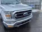 2021 F-150 Thumbnail 5