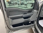 2021 F-150 Thumbnail 10