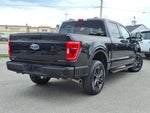 2022 F-150 Thumbnail 5
