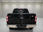 2022 F-150 Thumbnail 5