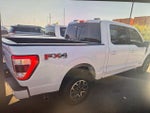 2022 F-150 Thumbnail 13