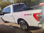 2022 F-150 Thumbnail 14